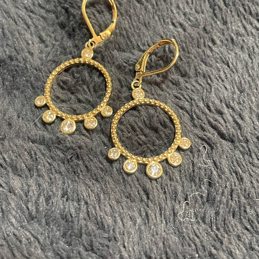 Elegant Gold Hoop Earrings